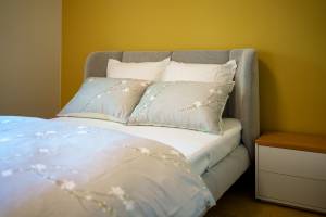 Nicola ALEXANDRE - ADN AGENCEUR DECORATEUR NICOLA